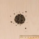 Mélanges de fleurs - Fleurs Vivaces Hautes - 4 m² - Mélange de fleurs - MEDIA_3D